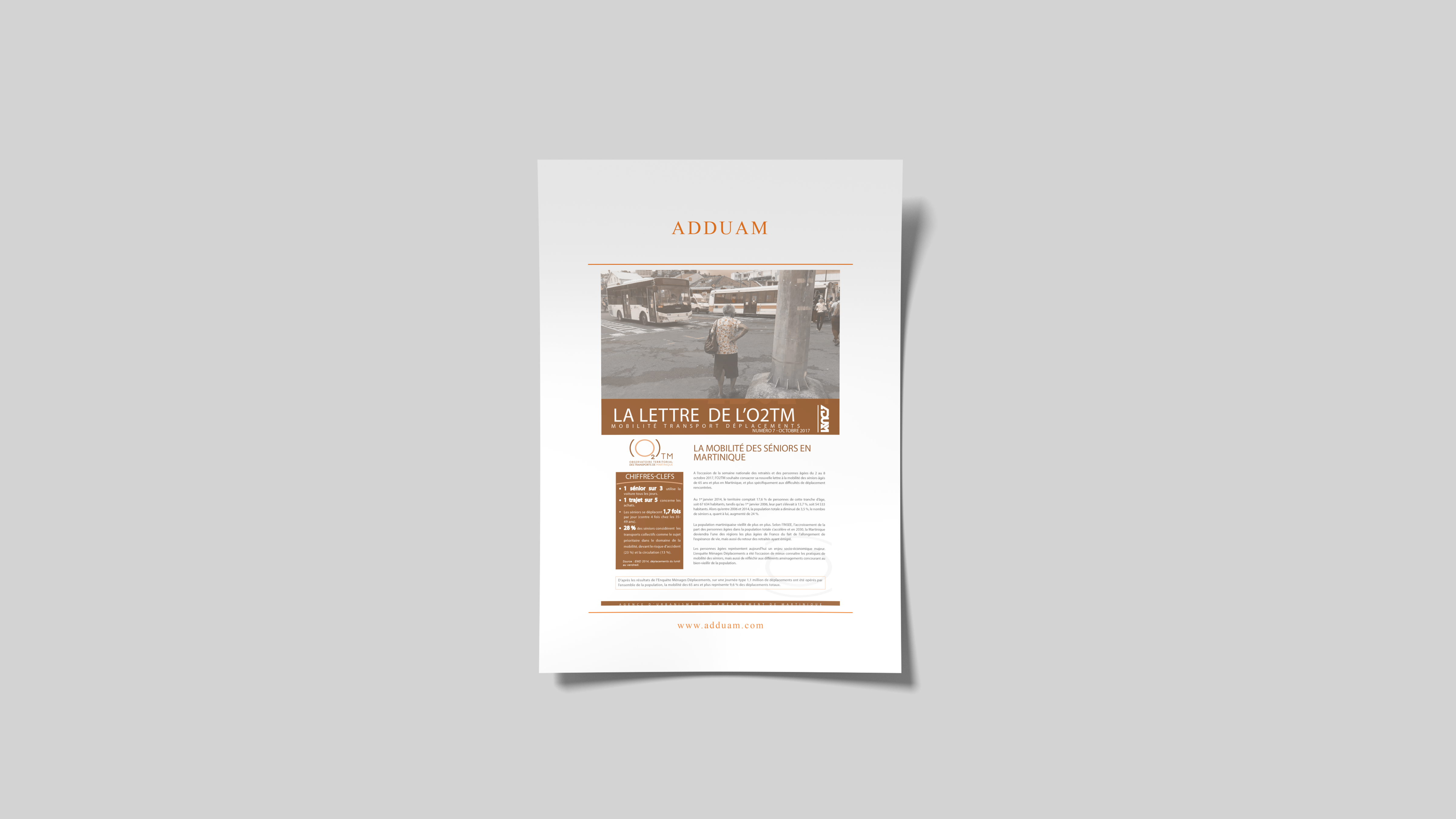 La lettre de l’O2TM : La mobilité des séniors en Martinique