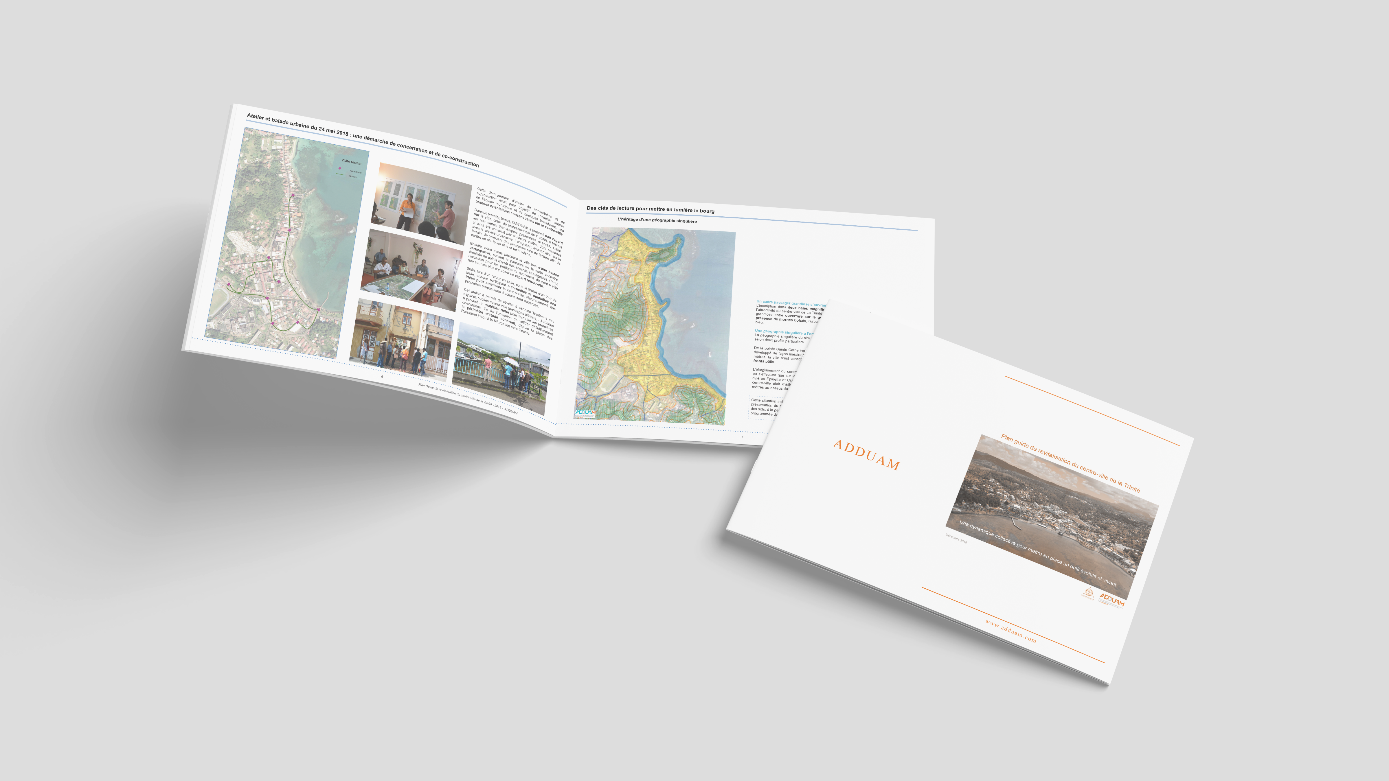 Plan guide de la revitalisation du centre-ville de La Trinité