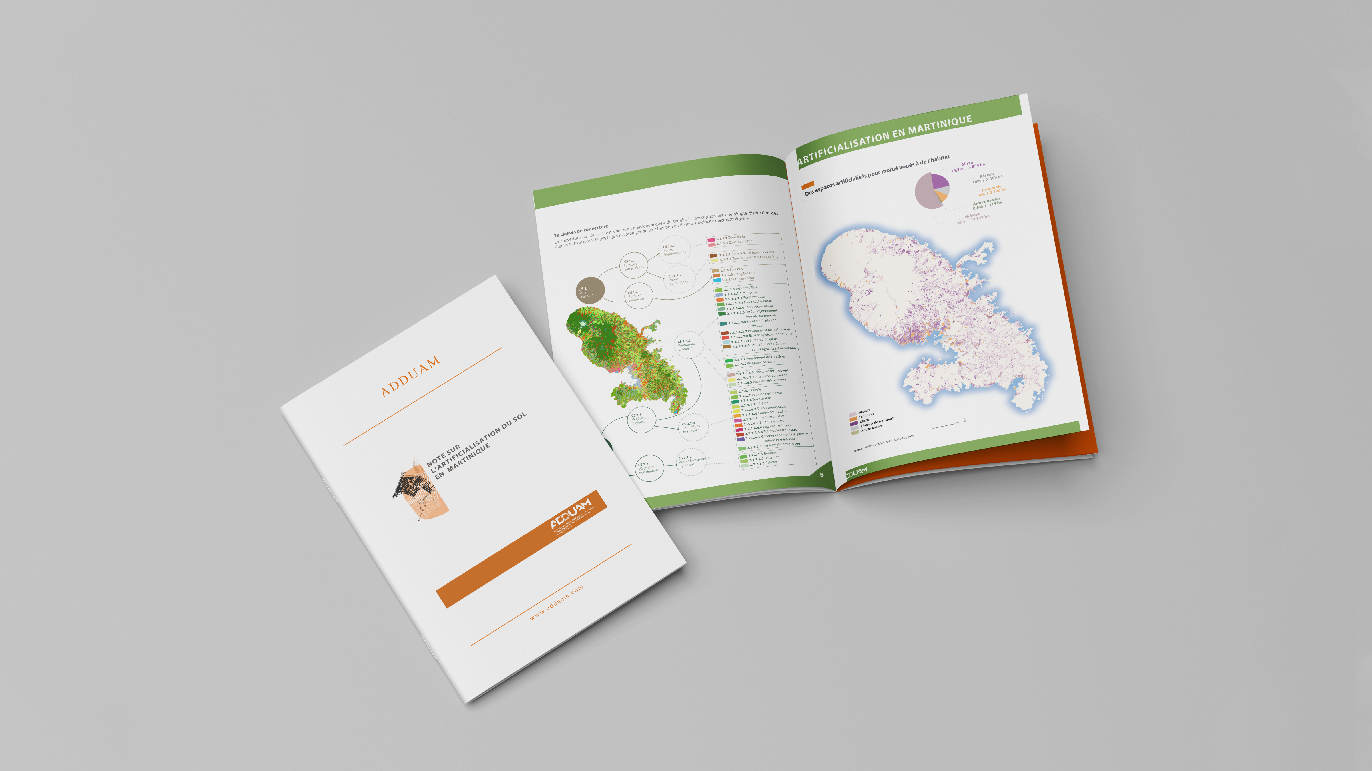 Note sur l’artificialisation du sol en Martinique