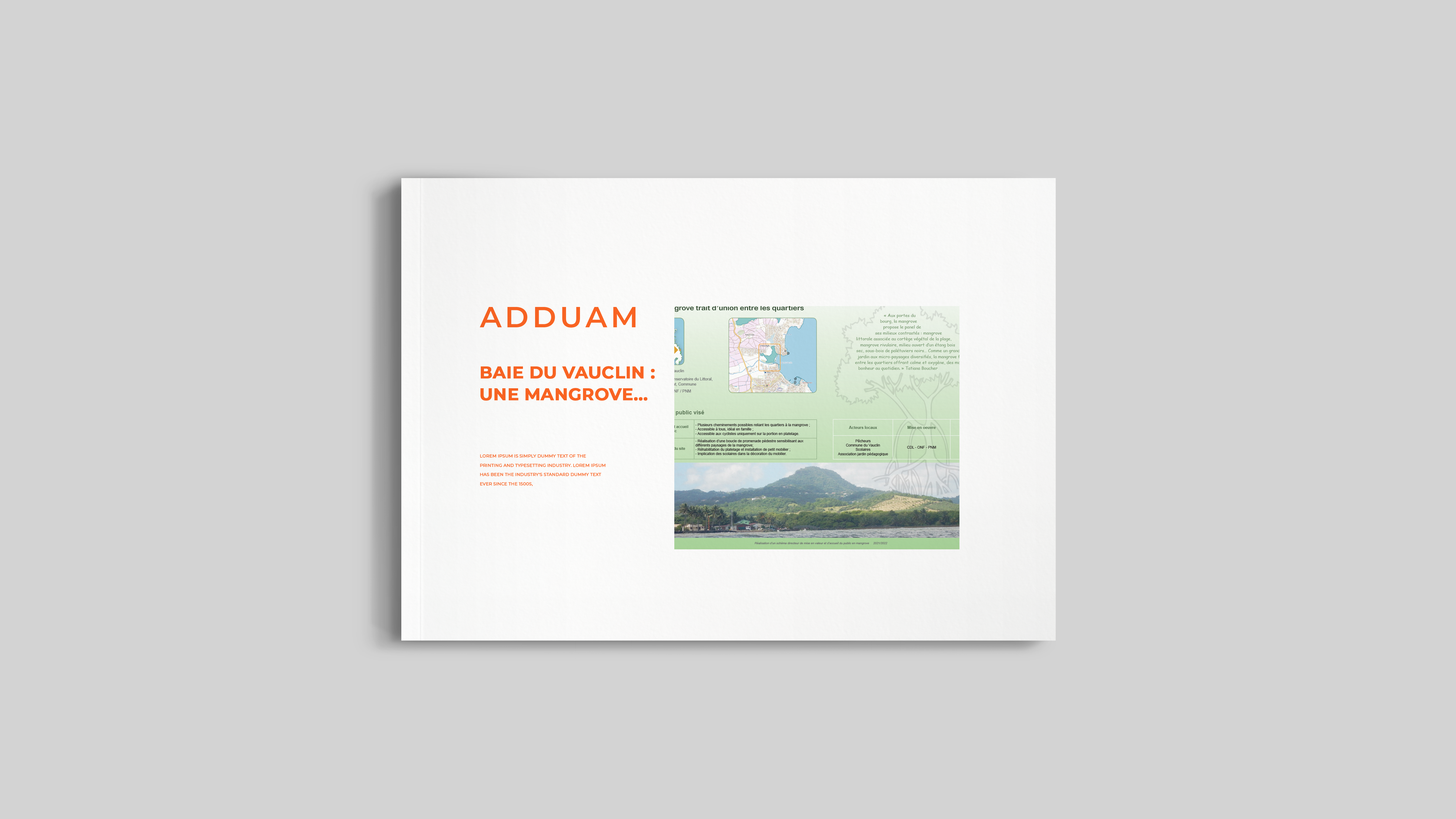 Baie du Vauclin : une mangrove trait d'union entre les quartiers