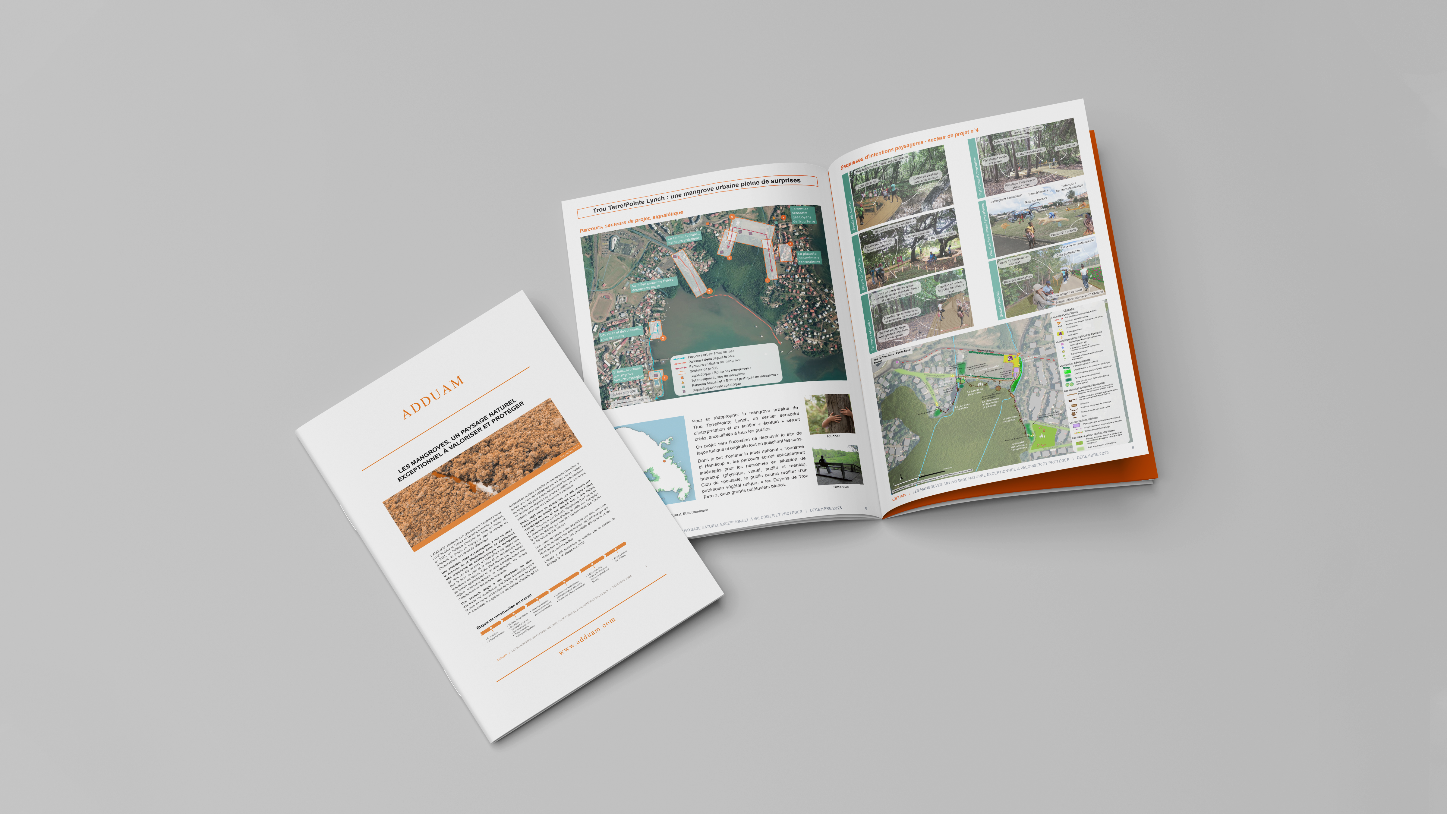 Les mangroves, un paysage naturel exceptionnel à valoriser et protéger