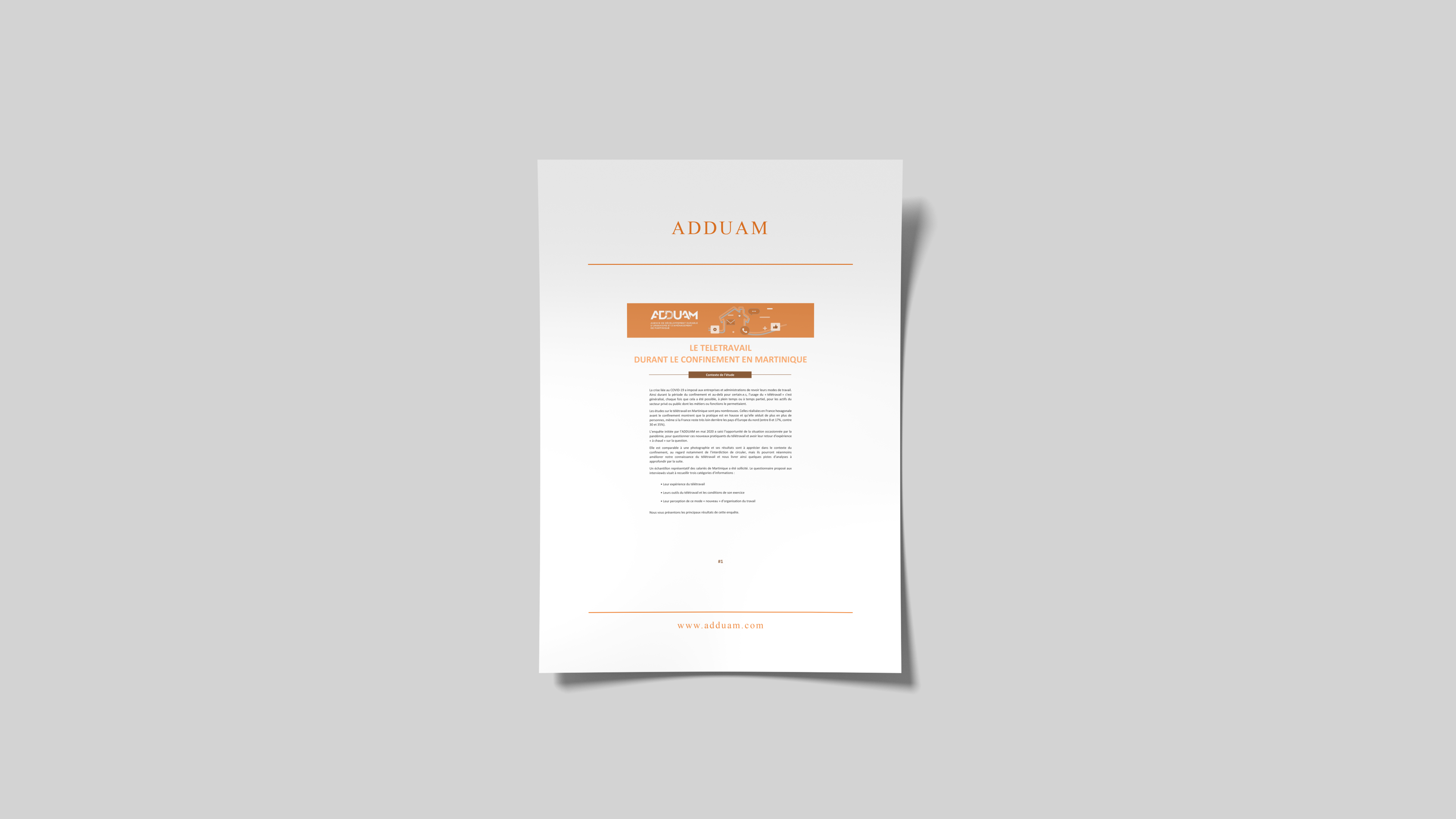 Le télétravail durant le confinement en Martinique